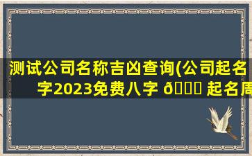 测试公司名称吉凶查询(公司起名字2023免费八字 🐟 起名周易)